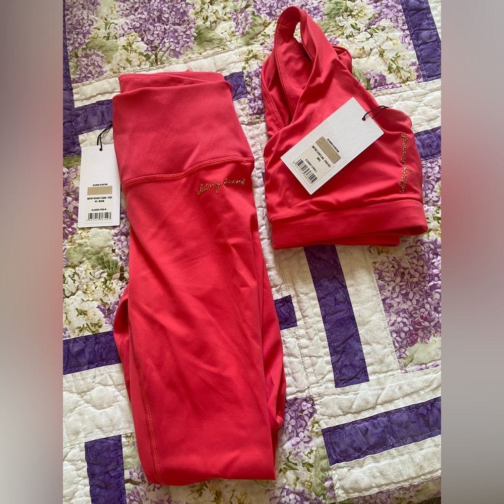 Whitney Simmons Gymshark Set V2